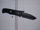 emerson 004.jpg