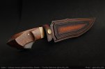 AI-Cheetah-Snakewood-04.jpg