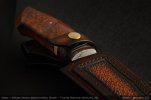 AI-Cheetah-Snakewood-08.jpg