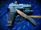 Sig320-NeOn.jpg