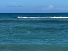 IMG_0494.jpg