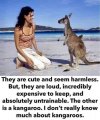 FB_IMG_1621813435429.jpg