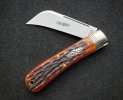 20190704_123141-01 pruner 640 x 480.jpg