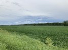 Bottom 6-21-21-2.JPG