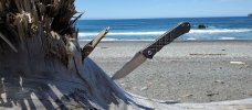 OR Beach  2021.jpg
