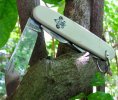 white.imp.BSA.mark.Vstand.wisteria.jpg