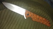 SKYLINE TIGER STRIPE 1.jpg