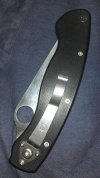 SPYDERCO MILLIE.jpg