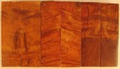 figured desert ironwood scales set of 3.jpg