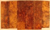 spalted maidou aka spalted golden amboyna set of 6.jpg spalted maidou aka spalted golden amboyna set of 6.jpg