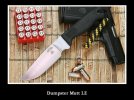 DMLE_1024x.jpg