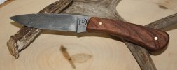 walnut1.jpg