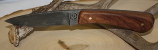 walnut1a.jpg