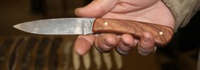 walnut in hand.jpg