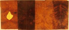 desert ironwood burl scales set of 4D.jpg