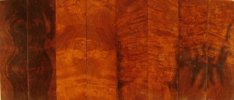 desert ironwood burl scales set of 4C.jpg