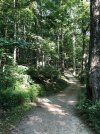 IMG_0722.JPG