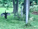 8AB803CE-8272-4A0B-9381-813C7D65316E.jpeg
