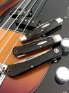 3 black on bass.JPG