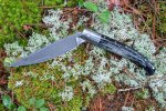 Steri-on-Reindeer-lichen.jpg