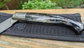 Steri-scales-closeup.jpg