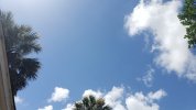 20210627_112716_compress83.jpg