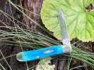 Caribbean Blue 5.JPG