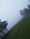 IMG_20210701_081738.jpg