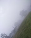 IMG_20210701_082633.jpg