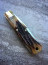 GEC_83_stag2.jpg