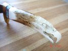 DSC08227.JPG
