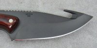 193.AG.Alpha.Hunter.092417 (3).JPG 193.AG.Alpha.Hunter.092417 (3).JPG