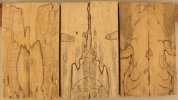 spalted tamarind scales set of 3d.jpg