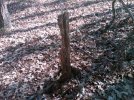 IMG-20120130-00104.jpg