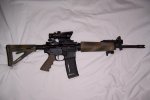 Bushy XM15.JPG