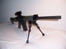LR308 II.jpg