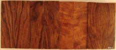 figured desert ironwood scales #4.jpg
