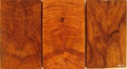 desert ironwood burl scales set #0227A.jpg desert ironwood burl scales set #0227A.jpg