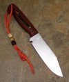orangeblackspecialhunter 001.jpg