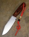 orangeblackspecialhunter 002.jpg