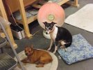 2012_02280006.jpg
