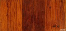 desert ironwood burl scales SET #0228B.jpg