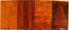 desert ironwood burl scales SET #0228D.jpg