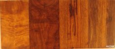 desert ironwood burl scales SET #0228F.jpg