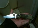 Para2.JPG