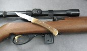 055 Walnut 001.JPG