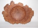Maple Burl.jpg
