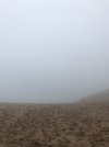 3CD7ECDD-7736-4FF5-B666-8B1FE3579B16.jpeg