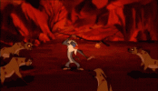 Rafiki.gif