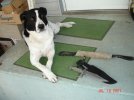 DSC08617.JPG